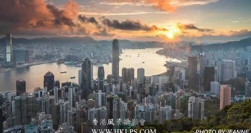 德甲足球即时比分-德甲烽火连天，实时比分背后的战术博弈与激情燃烧的绿茵场