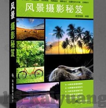 国民队足球比分-国民队足球比分，赛场风云中的激情与荣耀
