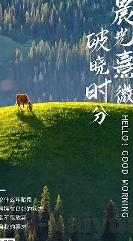 足球单双比分0-足球单双比分0，赛场风云中的特殊密码与深层启示